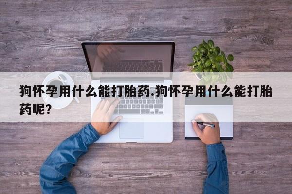 打胎药在线购买微信狗怀孕用什么能打胎药.狗怀孕用什么能打胎药呢？