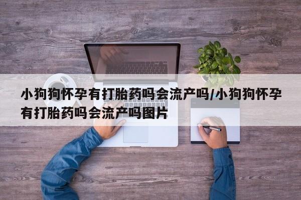 打胎药在线购买微信资讯 第17页