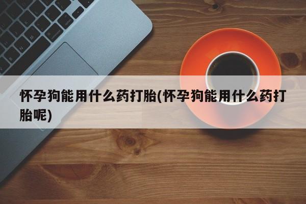 打胎药在线购买微信怀孕狗能用什么药打胎(怀孕狗能用什么药打胎呢)